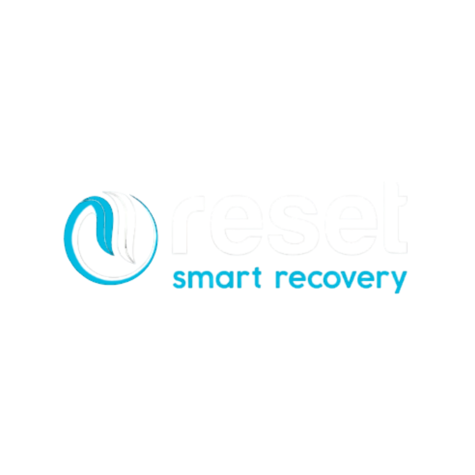 Reset Recovery